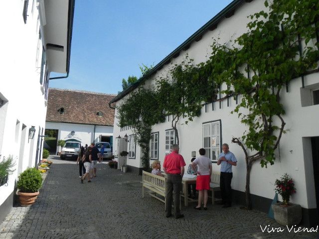 wachau