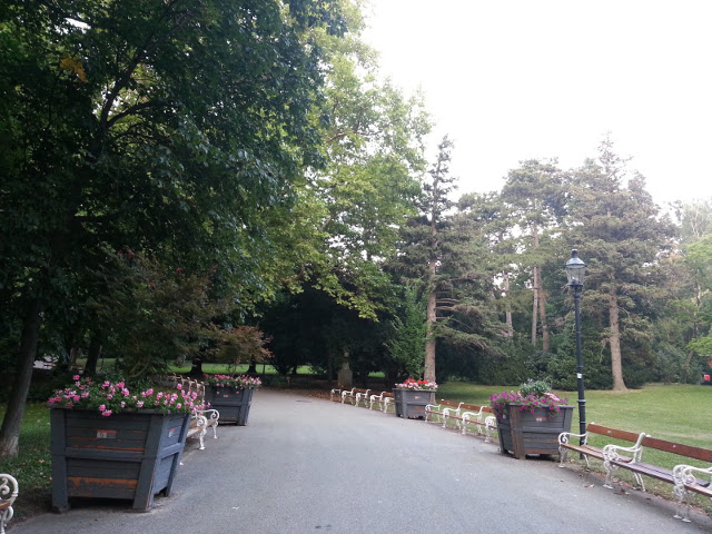 Parque em Viena: Türkenschanzpark