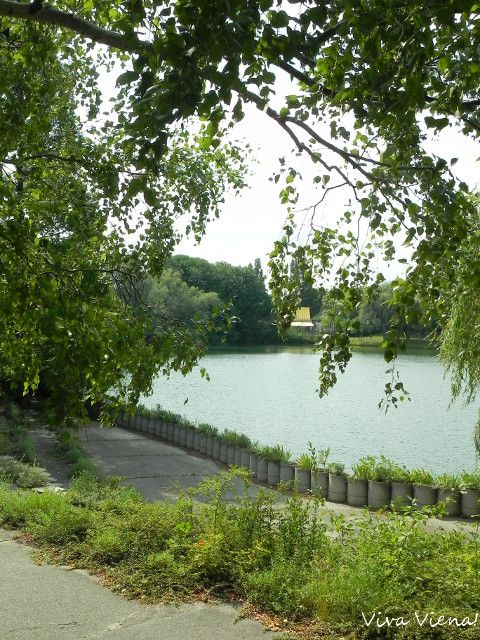 Parque em Viena