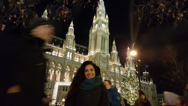 Razões para se apaixonar por Viena no inverno