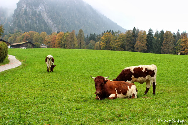 Königssee: lago lindo na Alemanha